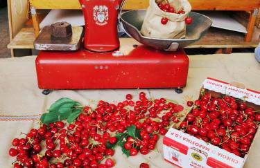 Agriturismo Cantarana - Foto 7