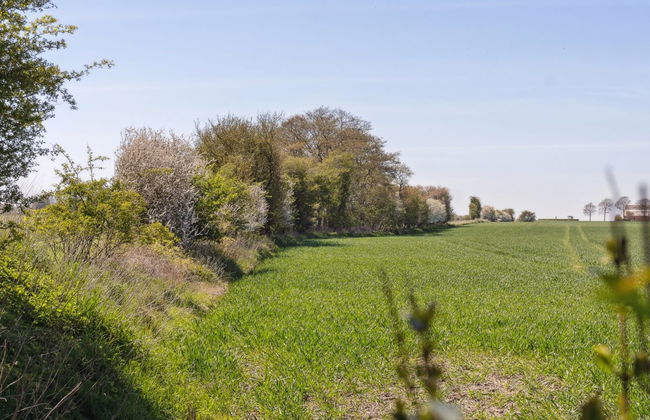 "Evamaria" - 350m from the sea - Foto 13