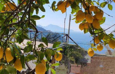 Tessa's Holiday - Photo 17