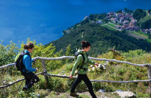 Bosc del Meneghì - Foto 25