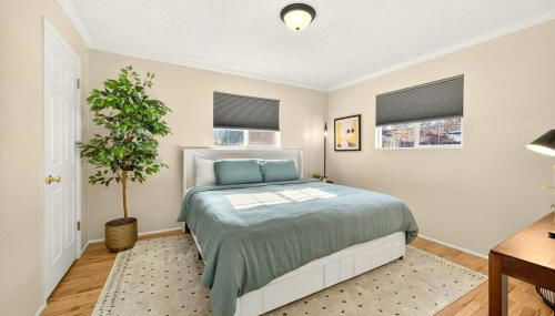 Jville Gem, Walk Downtown - Foto 2