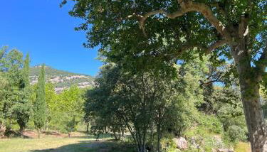 Studio des Anges #1 - Foto 5