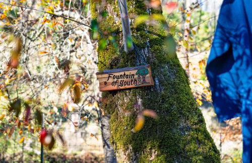 Sonoma Creek Haven - Foto 54