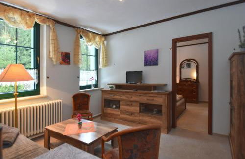 Luxurious Apartment in Jägersgrün with Saunas - Foto 35