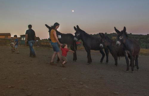 Casa da Ti Cura - Foto 33