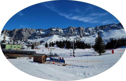 Studio pied des pistes - Foto 9