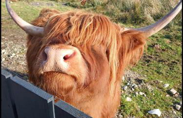 Ben Nevis Manor Studio with private Hot Tub - Photo 1