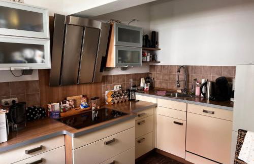 Idyllisches Haus Ferienwohnung in Jena direkt an der Saale - Foto 8