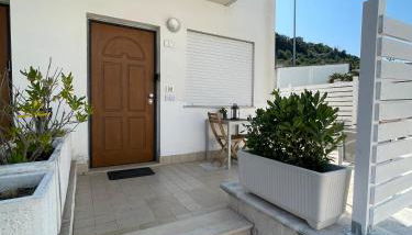 Grazioso Mono sulla Costa dei Trabocchi - Foto 2