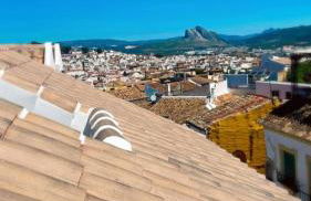 Hotel Apartamentos Antequera - Photo 43