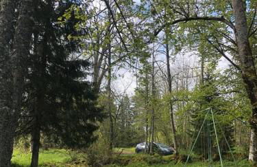 La Sauvagine - Foto 8