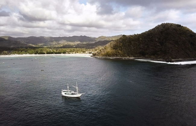 Royal Fortuna - Photo 13