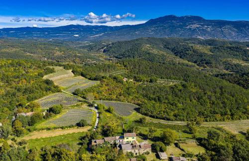 Villa Franz Krbune - Foto 11