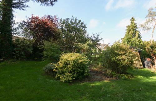 Little Timbers - Foto 29