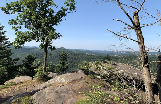Appartements du Comté de Dabo - Photo 39