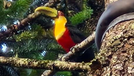 Chalés Alcantilado - Morada Sol e Lua - Photo 4