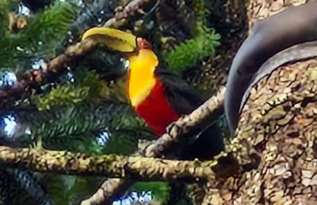 Chalés Alcantilado - Morada Sol e Lua - Photo 4