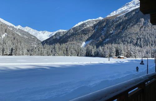 Chalet La Pineta - Foto 29