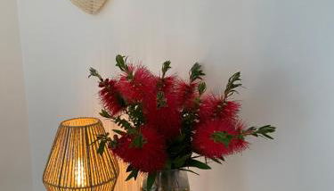 Highland sur Mer - Foto 4