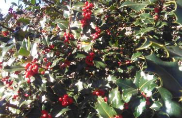 Casa Rural Calecha - Photo 46