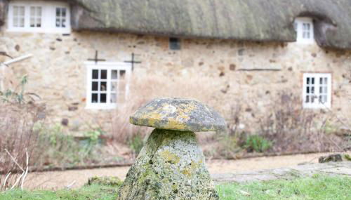 Afton Thatch: Beautiful Thatched Family Cottage - Foto 3, Garden, Garden view