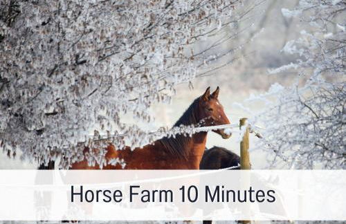 Familien- & Hundeparadies & Kamin - Foto 41