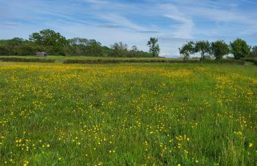 The Old Barn - Photo 56