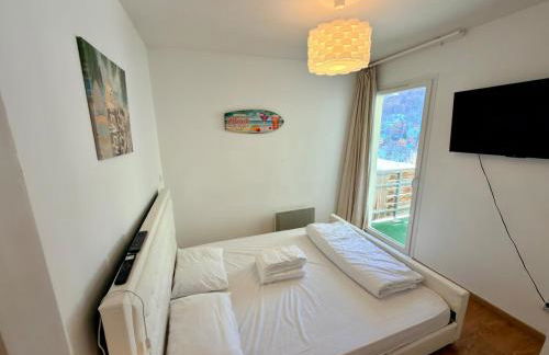 3 pièces la Foux d Allos vue montagne et station - Photo 40