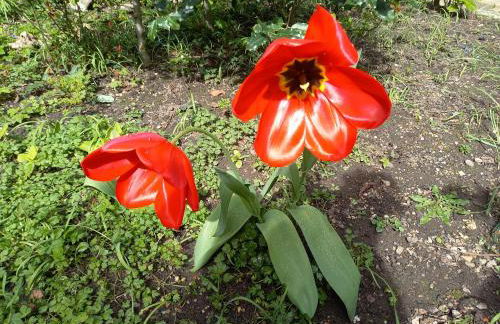 La Teranga de Kadi & Cathy, avec jardin privatif - Foto 50