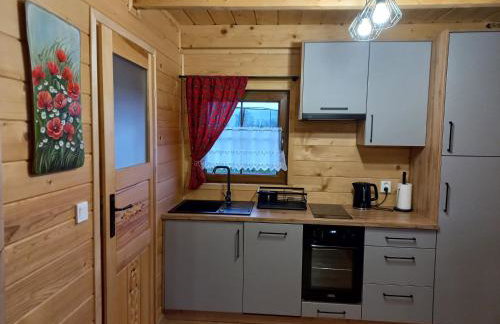 POD STARĄ PODKOWĄ komfortowy domek z kominkiem - Foto 23