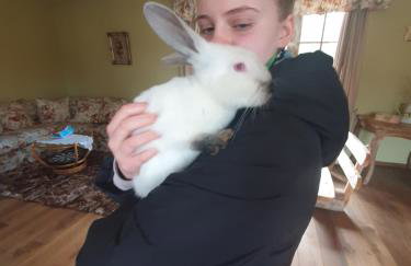 Zacisze Jurajskie - Foto 54