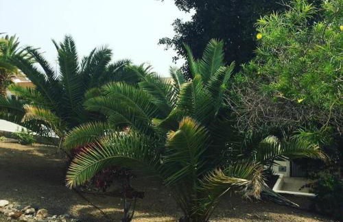 La Tejita Beachhouse - Foto 22