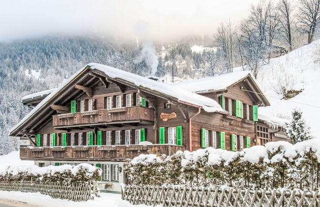 1 bedroom Apartment in Grindelwald with garden - Photo 2