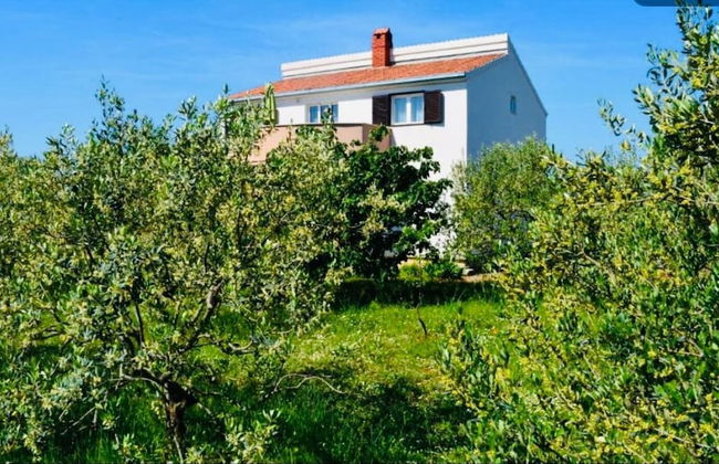 Nick - With Barbecue - A1 - Foto 16