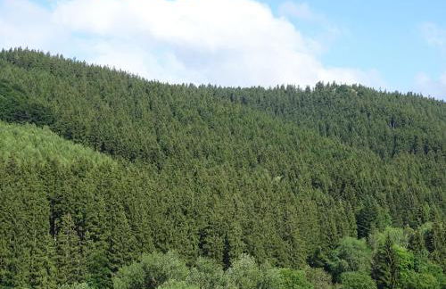 Ferienwohnung am Berggrabenweg - Foto 9