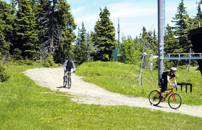 Peaceful Mountain Holiday Stay - Photo 40