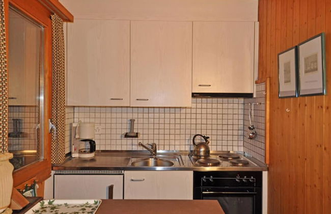 Stachelbeere OG - Foto 5