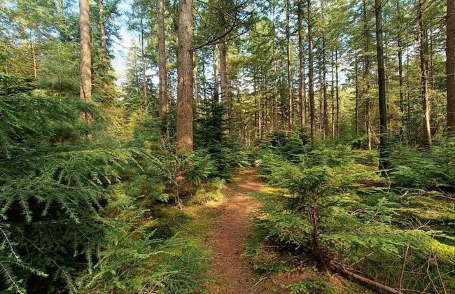 Bungalow in Veluwe Near Harderwijk - Photo 25