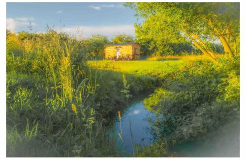 Mountbatten Shepherds hut & Buckhurst Shepherds hut - Foto 49