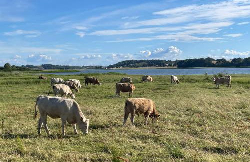 Dat-Klinkerhus - Foto 52