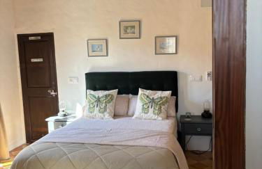 Sweet William - Foto 11