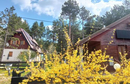 Plitvice Lakes Holiday Lodge - Foto 29