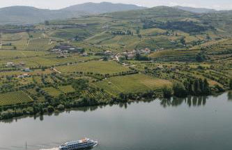 IMAGO Houses - Douro Valley - By MET - Foto 15