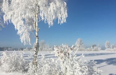 Little Cottage - Foto 51