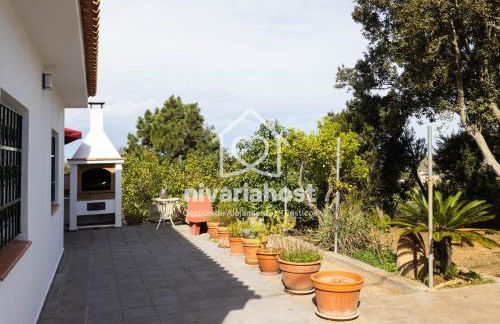 Tegas: Tacoronte, by Nivariahost - Foto 32