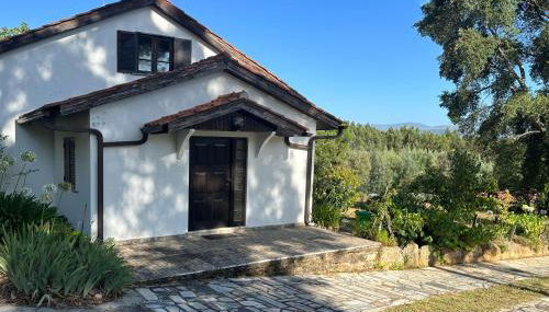 Quinta Do Pereiro - Foto 4