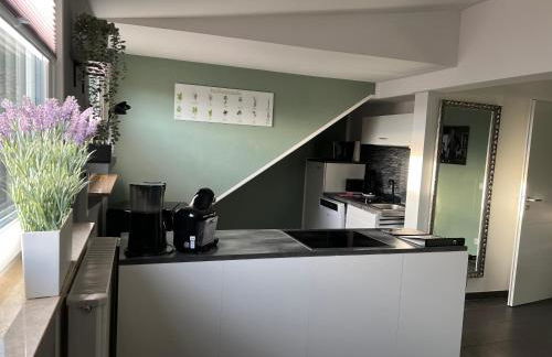 Apartment in Erftstadt , Phantasialand Brühl bei Cologne, Zentral, Bahnhof nah - Foto 6