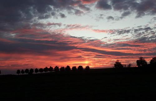 Apartment zum Spaal by Interhome - Foto 48