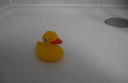 Ferienwohnung Kluge - Foto 9