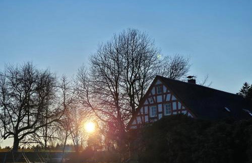 Ferienhof Zollfrank - Foto 75